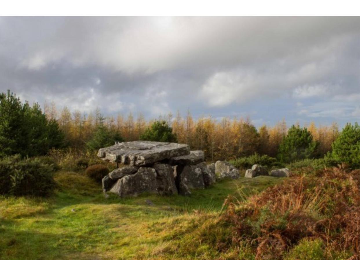 Corderry Farmhouse, Idyllic Cottage Amid 250 Acres Lisvernane Eksteriør bilde